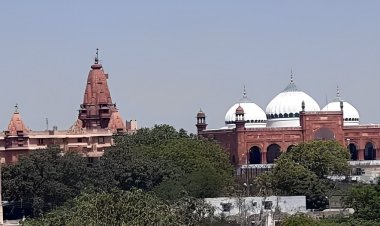 श्रीकृष्ण जन्मभूमि मामला : हाईकोर्ट में सभी याचिकाओं को एक मर्ज करने की याचिका पर हुई सुनवाई, अगली सुनवाई 18 अप्रैल को