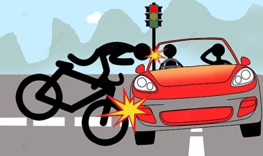 प्रतापगढ़ : तेज रफ्तार ट्रक अनियंत्रित होकर पेड़ से टकराया, चालक की मौत