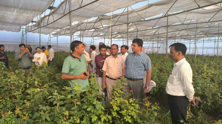 जिलाधिकारी ने ग्राम हरवारी लखापुर ब्लॉक-मेजा में नेचुरल वेंटिलेटेड पाॅली हाउस का किया निरीक्षण