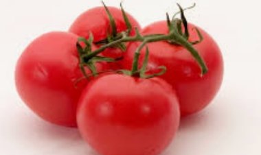 आज से टमाटर 80 रुपये किलो बेचेगी केंद्र सरकार