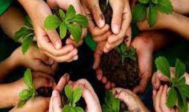 पौधरोपण अभियान : शनिवार को 30 करोड़ पौधे लगाएगी योगी सरकार