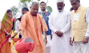 योगी सरकार ने रचा इतिहास, उप्र में एक दिन में रोपे गये 30 करोड़ से अधिक पौधे