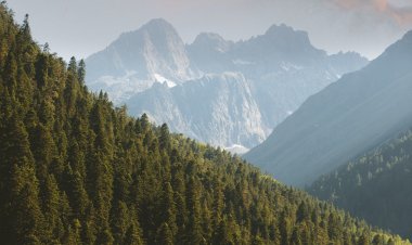 समझनी ही होगी प्रकृति की मूक भाषा