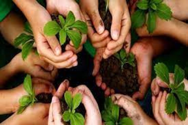 पौधरोपण अभियान : शनिवार को 30 करोड़ पौधे लगाएगी योगी सरकार