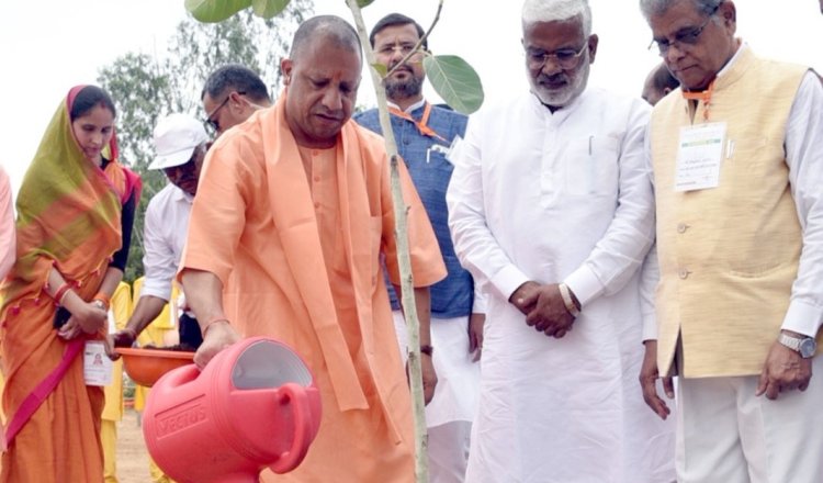 योगी सरकार ने रचा इतिहास, उप्र में एक दिन में रोपे गये 30 करोड़ से अधिक पौधे