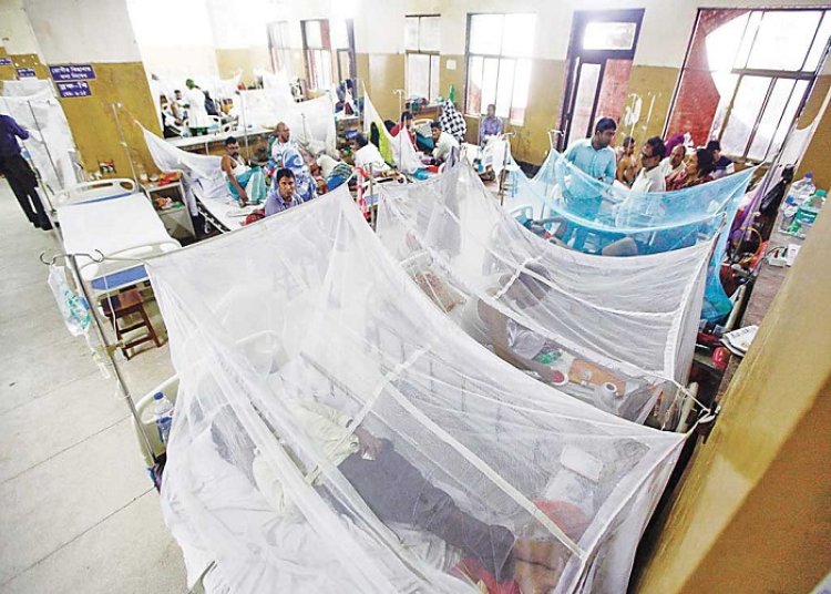 बांग्लादेश: डरावना रूप लेता डेंगू, अबतक 215 लोगों की मौत