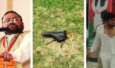 समाजवादी पार्टी के महासचिव स्वामी प्रसाद पर जूता फेंका