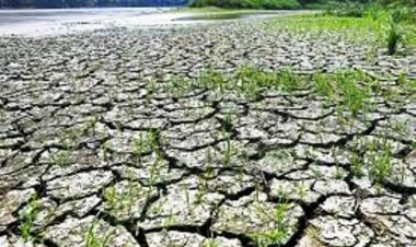 122 साल में सबसे कम अगस्त माह में हुई बारिश, अलनीनो बना कारण