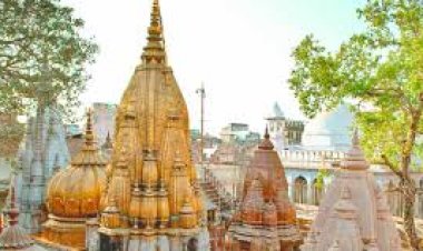 22 महीनों में 11 करोड़ 72 लाख से ज्यादा भक्तों ने किए बाबा विश्वनाथ के दर्शन