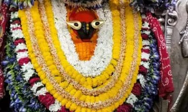 स्विट्जरलैंड और न्यूजीलैंड के फूलों से सज रहा विंध्यवासिनी धाम