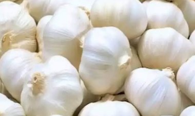 लहसुन हुए महंगा, मांग में नहीं आई कमी