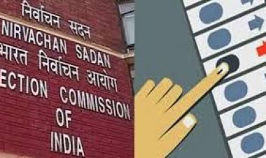 लोकसभा चुनाव में 85 साल की उम्र और 40 प्रतिशत दिव्यांगता वाले घर से करेंगे मतदान