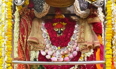 विंध्यवासिनी के सिद्धिदात्री स्वरूप को किया नमन, जयकारे से गूंजा विंध्यधाम