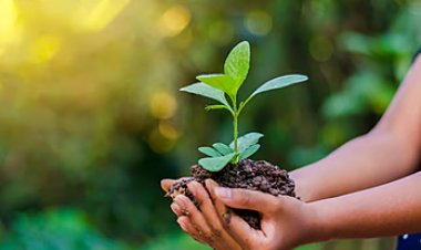 (विश्व पर्यावरण दिवस/05 जून/ विशेष) सिर्फ चिंता जताने से नहीं कम होगा पर्यावरण प्रदूषण