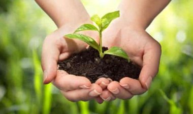 (विश्व पर्यावरण दिवस/ 05 जून/ विशेष) जन अभियान बने पर्यावरण संरक्षण