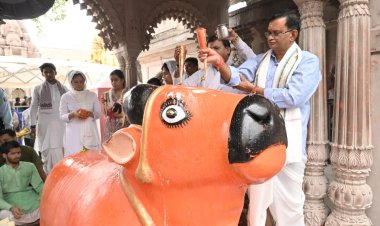 श्री काशी विश्वनाथ धाम में पंचम 'श्री नंदीश्वर उत्सव' संपन्न