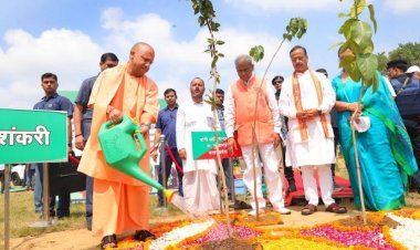 उत्तर प्रदेश में एक दिन में 36.51 करोड़ पौधरोपण का बना रिकॉर्ड