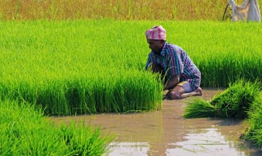 दलहन, तिलहन और सब्जियों का उत्पादन, भंडारण और विपणन संग कृषि अनुसंधान व स्टार्टअप पर रहेगा सरकार का जाेर