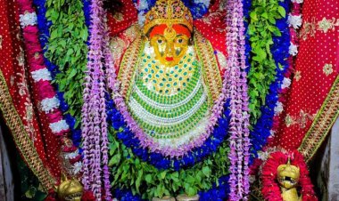 नागपंचमी पर्व पर आदि शक्ति कुष्मांडा का झूला श्रृंगार देख श्रद्धालु आह्लादित