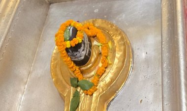 बाबा विश्वनाथ के मंगला आरती में विराजे लड्डू गोपाल,दर्शन पाकर शिवभक्त निहाल