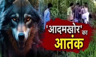 बहराइच में आदमखोर भेड़ियों ने फिर मचाया आतंक, बच्ची को बनाया निवाला, बुजुर्ग गंभीर