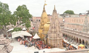 सोमवती और भौमवती अमावस्या पर श्री काशी विश्वनाथ दरबार में उमड़ी भीड़