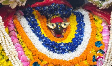 शारदीय नवरात्र : पंचमी पर विंध्यधाम में श्रद्धा, विश्वास व आस्था का समागम