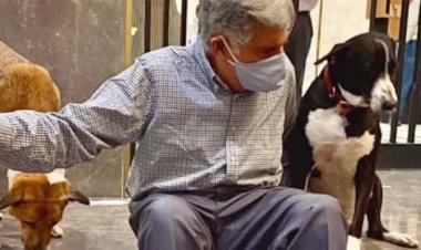 जब स्वान प्रेम की वजह से रतन टाटा ने रद्द कर दिया था इंग्लैंड के शाही कार्यक्रम का दौरा