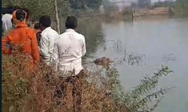 तालाब में उतराती हुई मिली लाश, पुलिस जांच में जुटी