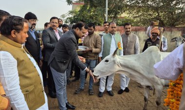 प्रभारी मंत्री ने गौशाला का किया निरीक्षण, भूसा कम मिलने पर लगाई फटकार