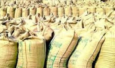 सरकारी क्रय केंद्रों पर पिछले साल की अपेक्षा अधिक हुई धान की खरीदी