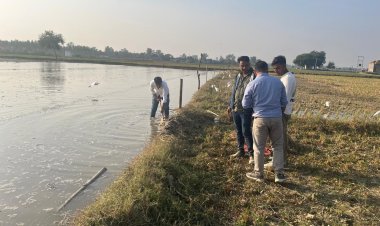 हिंडन नदी का जल स्तर बढ़ने से 200 बीघा आलू व गेहूं की फसल बर्बाद