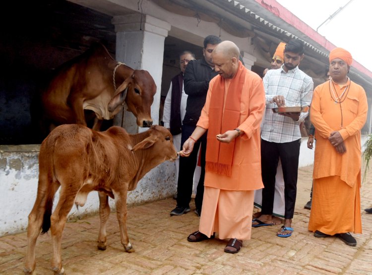 मुख्यमंत्री योगी ने देवीपाटन मंदिर में दर्शन पूजन कर की गौ सेवा
