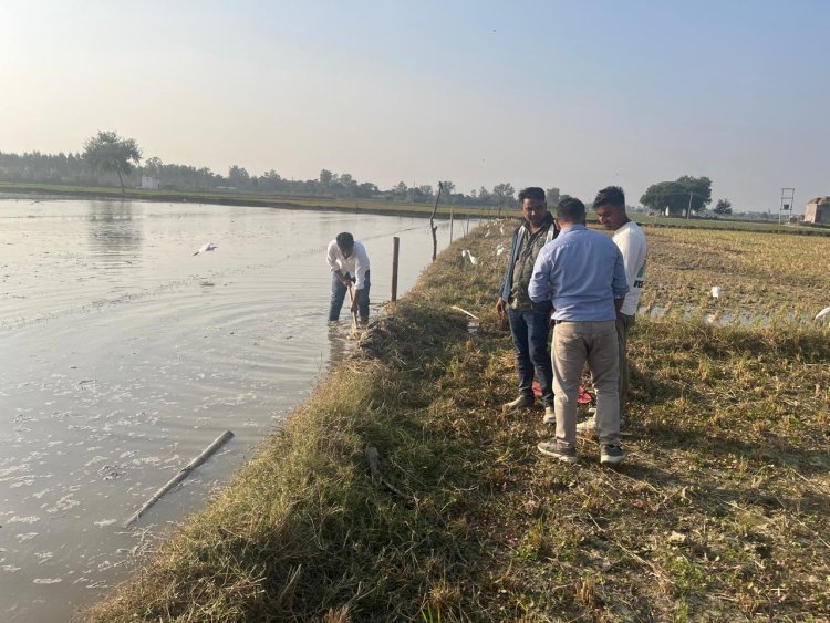 हिंडन नदी का जल स्तर बढ़ने से 200 बीघा आलू व गेहूं की फसल बर्बाद