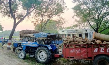 प्रतिबंधित हरे पेड़ काटने पर 05 गिरफ्तार, 02 ट्रैक्टर-ट्राली सीज