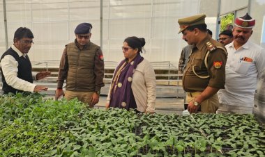 मीरजापुर के खेतों में लहलहाएगा राजस्थान का खजूर