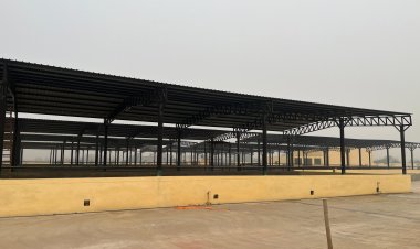 गोवंशों के गोबर से बनेगा फ्यूल, ग्रेटर नाेएडा प्राधिकरण को हाेगी आमदनी 