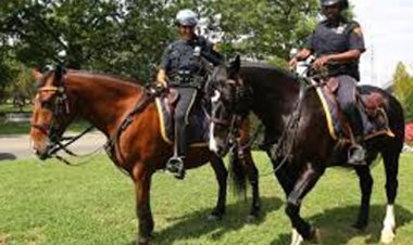 महाकुम्भ : भीड़ कंट्रोल के लिए योगी सरकार की खास माउंटेड पुलिस रहेगी तैनात