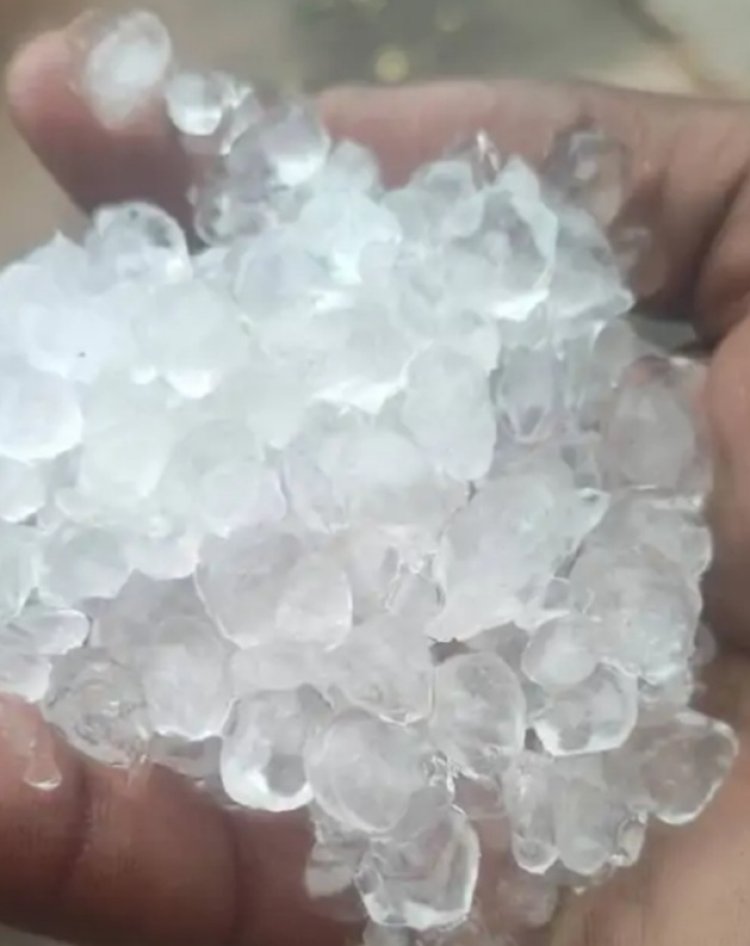 मौसम का मिजाज बदला,कोहरे के साथ बढ़ी ठिठुरन