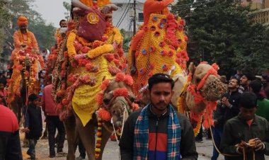 भगवान कार्तिकेय की धर्म ध्वजा लेकर हुआ श्री पंचायती निरंजनी अखाड़े का छावनी प्रवेश