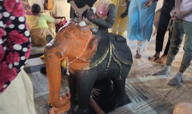 अनूपपुर:  गज के नीचे जो निकले वह पुण्य न निकले वह पापी, पाप-पुण्य का पैरामीटर