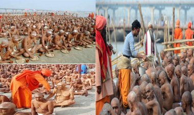 प्रयागराज के महाकुम्भ में 85 सौ लोगों ने मोह माया छोड़ चुनी संन्यास की राह