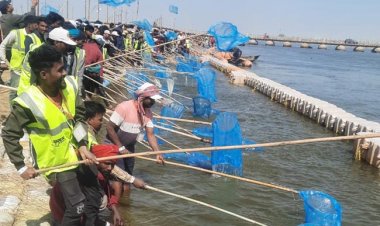 महाकुम्भ में नदी की स्वच्छता का बना वर्ल्ड रिकार्ड 