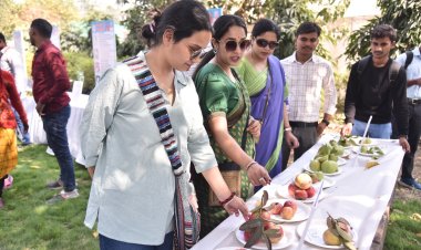 महाकुम्भ : अमरूद महोत्सव में एप्पल कलर प्रजाति के अमरुद का दिखा जलवा