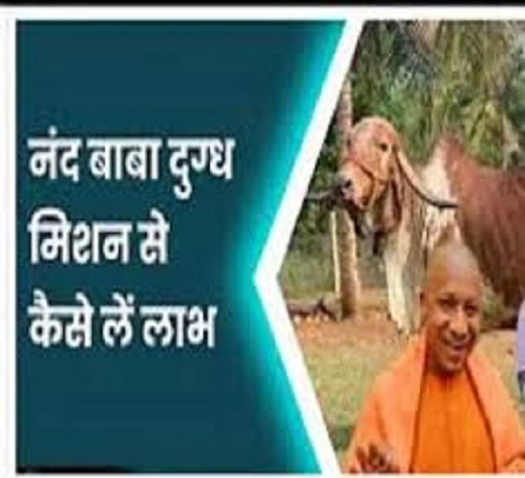 योगी सरकार पशुपालकों की आर्थिक स्थिति मजबूत करने को दे रही अनुदान, मांगा आवेदन