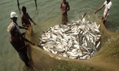 प्रयागराज में 21 मार्च को होगा अन्तर्राज्यीय मत्स्य पालक भ्रमण कार्यक्रम