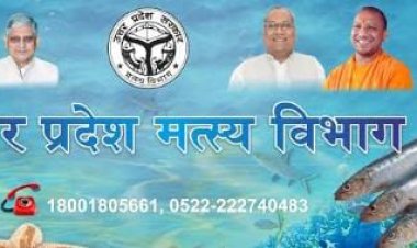 प्रयागराज में सृजित हुईं 14 मत्स्य जीवी सहकारी समितियां