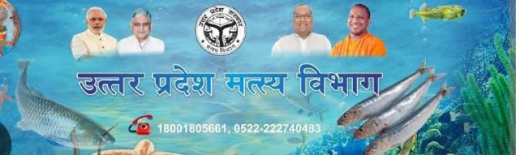 प्रयागराज में सृजित हुईं 14 मत्स्य जीवी सहकारी समितियां