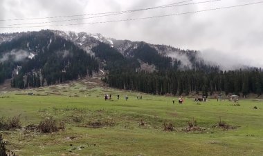 पहलगाम आतंकी हमला: जान बचाने के लिए पति ने काटा कलावा तो पत्नी ने निकाली बिंदी