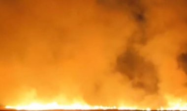 शॉर्ट सर्किट से भड़की आग ने मचाया तांडव, 50 बीघे में फैली, बस्ती पर खतरा